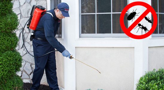 Süloğlu Hamam Böceği İlaçlama böcek ilaçlama ve haşere kontrolü — ilaclama-tr.com